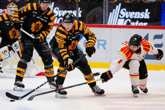 Skellefteås Michael Brandsegg-Nygård och Brynäs Bobby