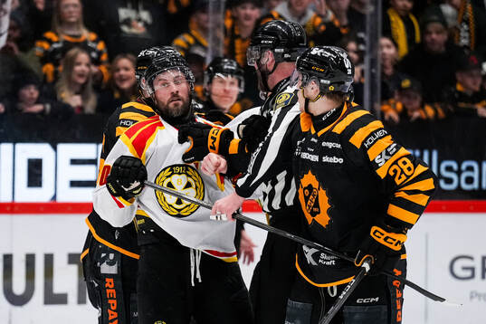 Brynäs Johan Larsson och Skellefteås Michael