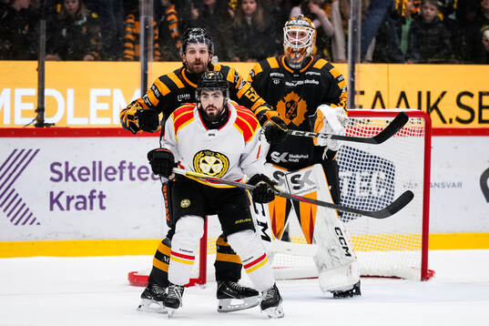 Skellefteås Arvid Lundberg och Brynäs Bobby Trivigno