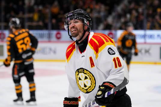 Brynäs Anton Rödin