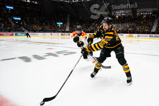 Brynäs Johan Larsson och Skellefteås Arvid Lundberg