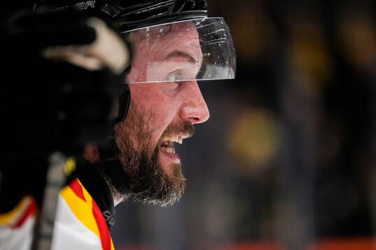 Brynäs Johan Larsson