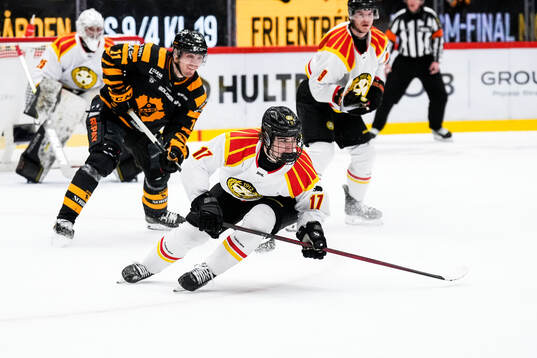 Skellefteås Max Lindholm och Brynäs Michal Svrcek