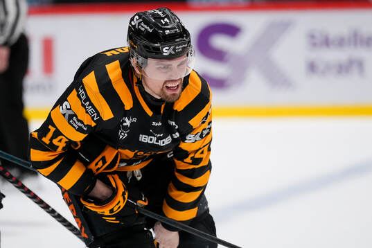 Skellefteås Andreas Johnson