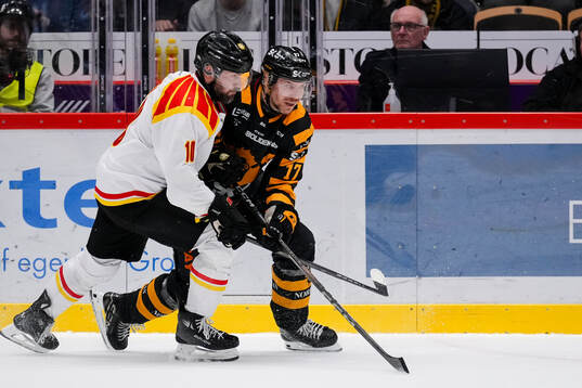 Brynäs Johan Larsson och Skellefteås Pär Lindholm