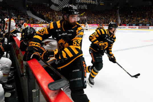 Skellefteås Luke Witkowski