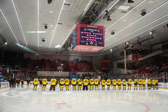 Players of Sweden