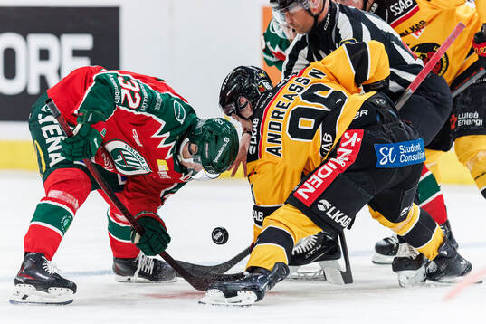 Frölundas Noah Hasa och Luleås Pontus Andreasson
