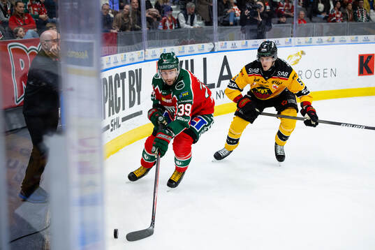 Frölundas Mikael Ruohomaa och Luleås Marcus Hardegård