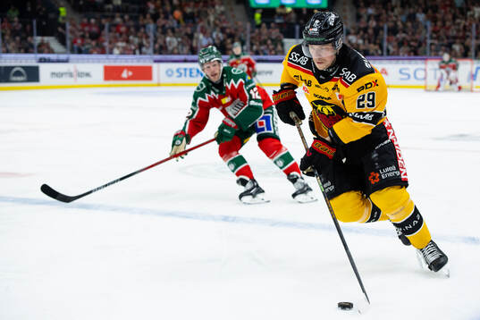 Luleås Erik Gustafsson