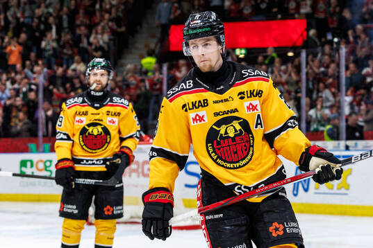 Luleås Jesper Sellgren deppar