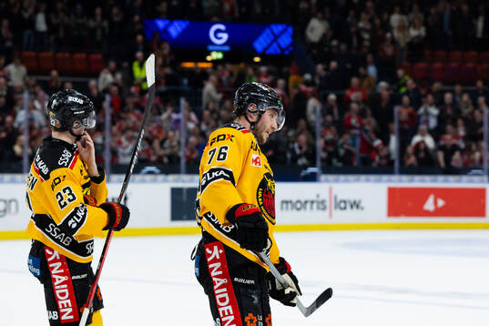 Luleås Jesper Sellgren ioch Anton Levtchi deppar