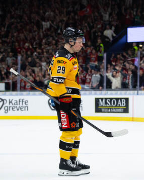 Luleås Erik Gustafsson  deppar