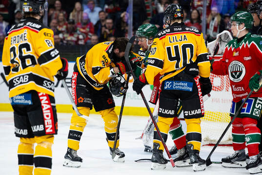 Luleås Frederic Allard och Frölundas Nicklas Lasu i fight