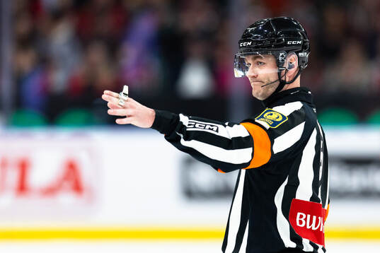 Domare Daniel Eriksson