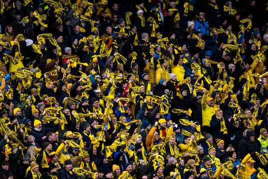Spectators in the stands