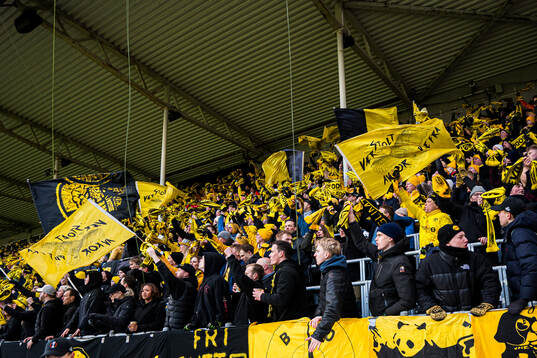 Spectators in the stands