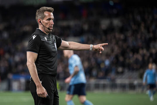 Referee Tobias Stieler