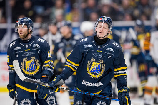 Södertäljes Sebastian Dyk och Egor Polin deppar