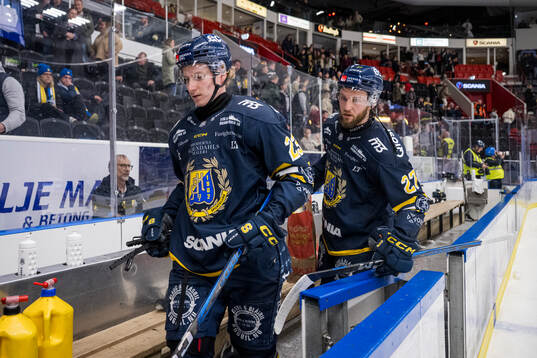 Södertäljes Egor Polin och Daniel Norbe deppar