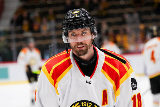 Brynäs Anton Rödin