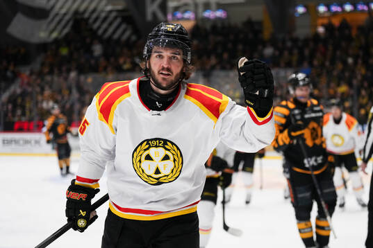 Bläddra bland fler bilder av Ishockey, SHL, Semifinal 4, Skellefteå - Brynäs