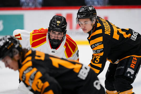 Brynäs Michal Svrcek och Skellefteås Viggo Nordlund