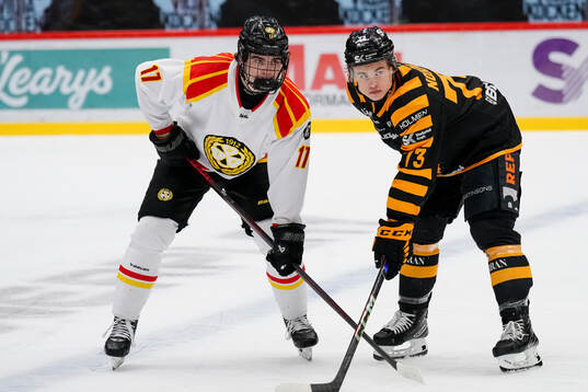 under semifinal fyra i SHL mellan Skellefteå och Brynäs