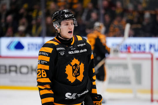 Skellefteås Michael Brandsegg-Nygård deppar