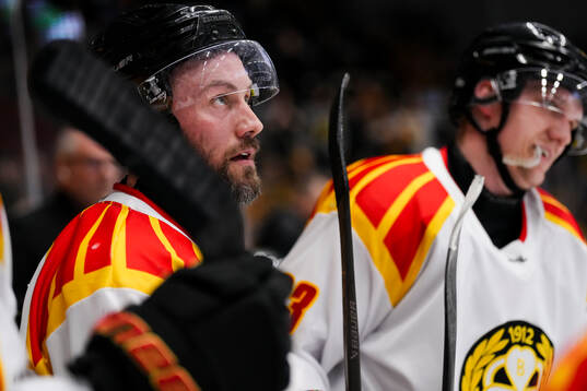 Brynäs Johan Larsson