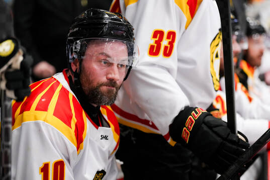 Brynäs Johan Larsson