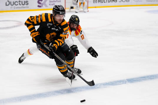 Skellefteås Pär Lindholm och Brynäs Michal Svrcek