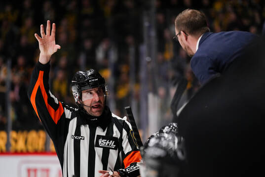 Domare Mikael Sjöqvist