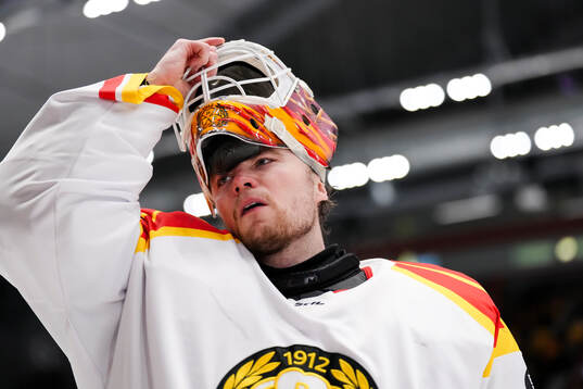 Brynäs målvakt Erik Källgren