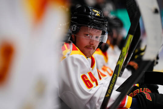 Brynäs Jacob Bengtsson