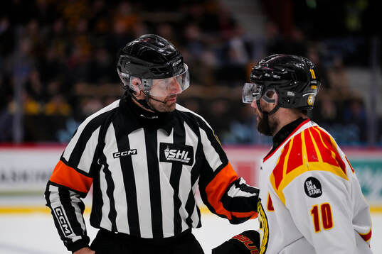 Domare Mikael Sjöqvist och Brynäs Johan Larsson