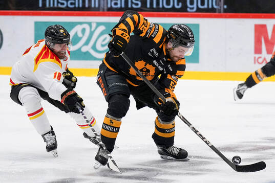 Brynäs Anton Rödin och Skellefteås Arvid Lundberg