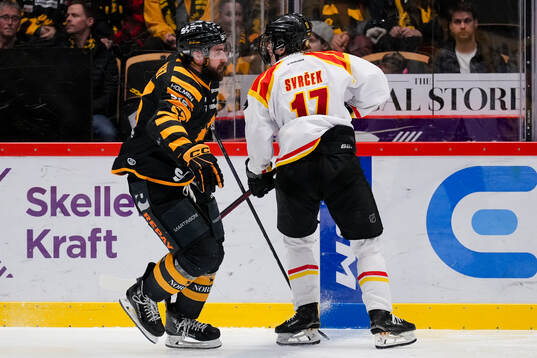 Skellefteås Luke Witkowski och Brynäs Michal Svrcek