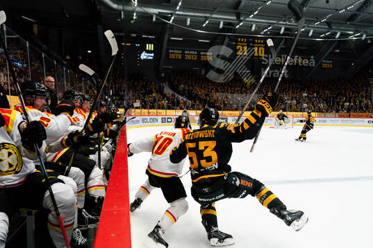 Brynäs Johan Larsson och Skellefteås Luke Witkowski