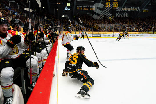 Brynäs Johan Larsson och Skellefteås Luke Witkowski