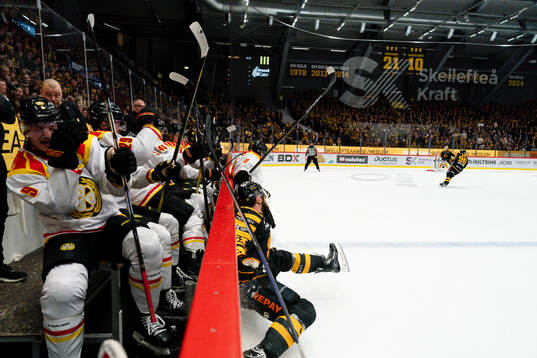 Brynäs Johan Larsson och Skellefteås Luke Witkowski