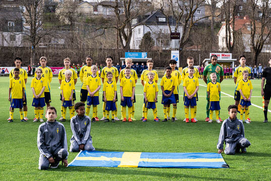 Players of Sweden