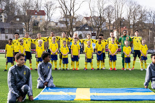 Players of Sweden