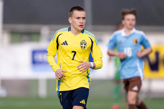 Nikolas Jovanovic of Sweden