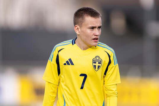 Nikolas Jovanovic of Sweden