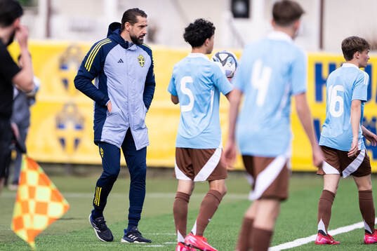 Head coach Mirza Jelečak of Sweden