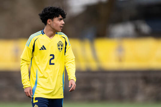 Haami Najafi of Sweden