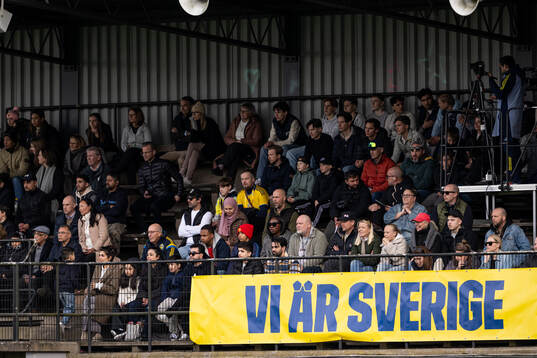 Spectators in the stands