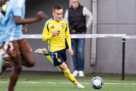 Nikolas Jovanovic of Sweden