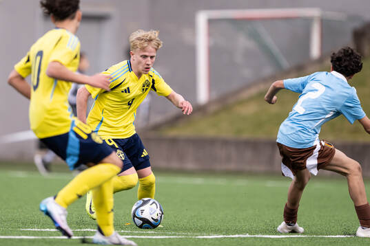 Pontus Eriksson of Sweden